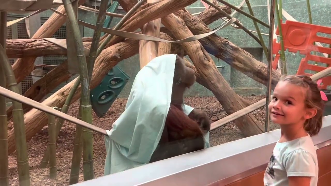 Lennon Day 2022 - Louisville Zoo