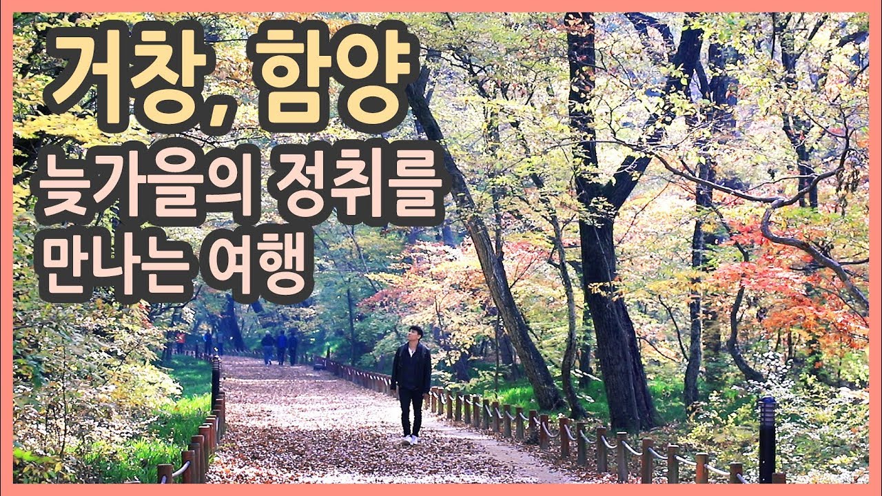 [랜선여행] 거창 함양 가을여행 / 의동마을 은행나무 가로수길, 함양상림, 개평한옥마을, 서암정사, 단풍여행, 가을여행지 추천, 국내여행지추천, 여행전문채널, 가을단풍, 단풍명소