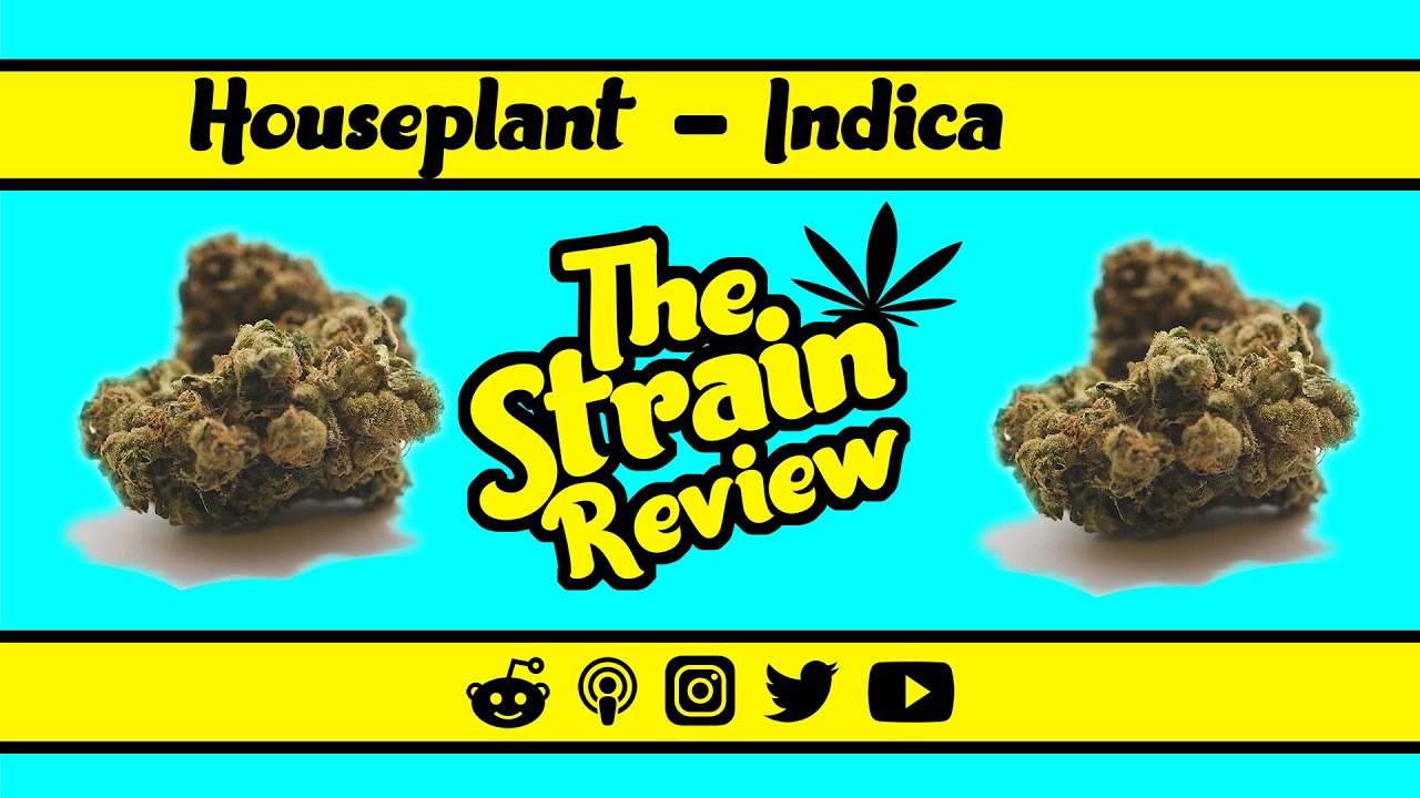 HousePlant - Indica: Indica | The Strain Review