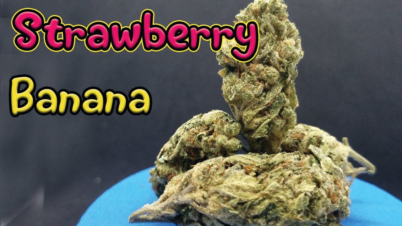 Strawberry Banana Strain Review