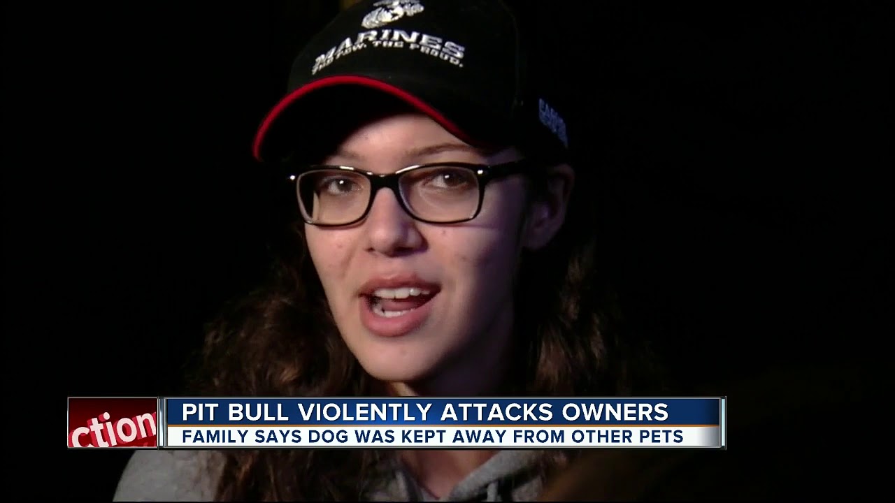 Dog stabbed to death after attacking family