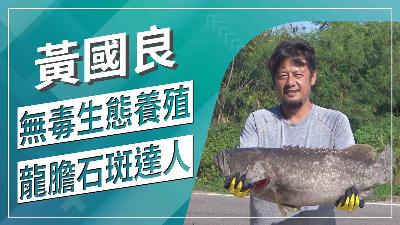 草地狀元~生態養殖龍膽石斑達人(20200817播出)