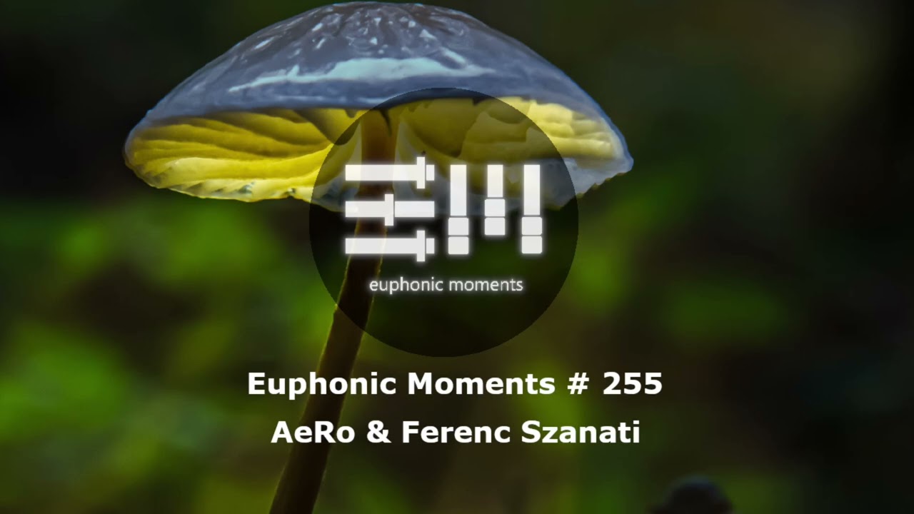 Euphonic Moments # 255 AeRo & Ferenc Szanati
