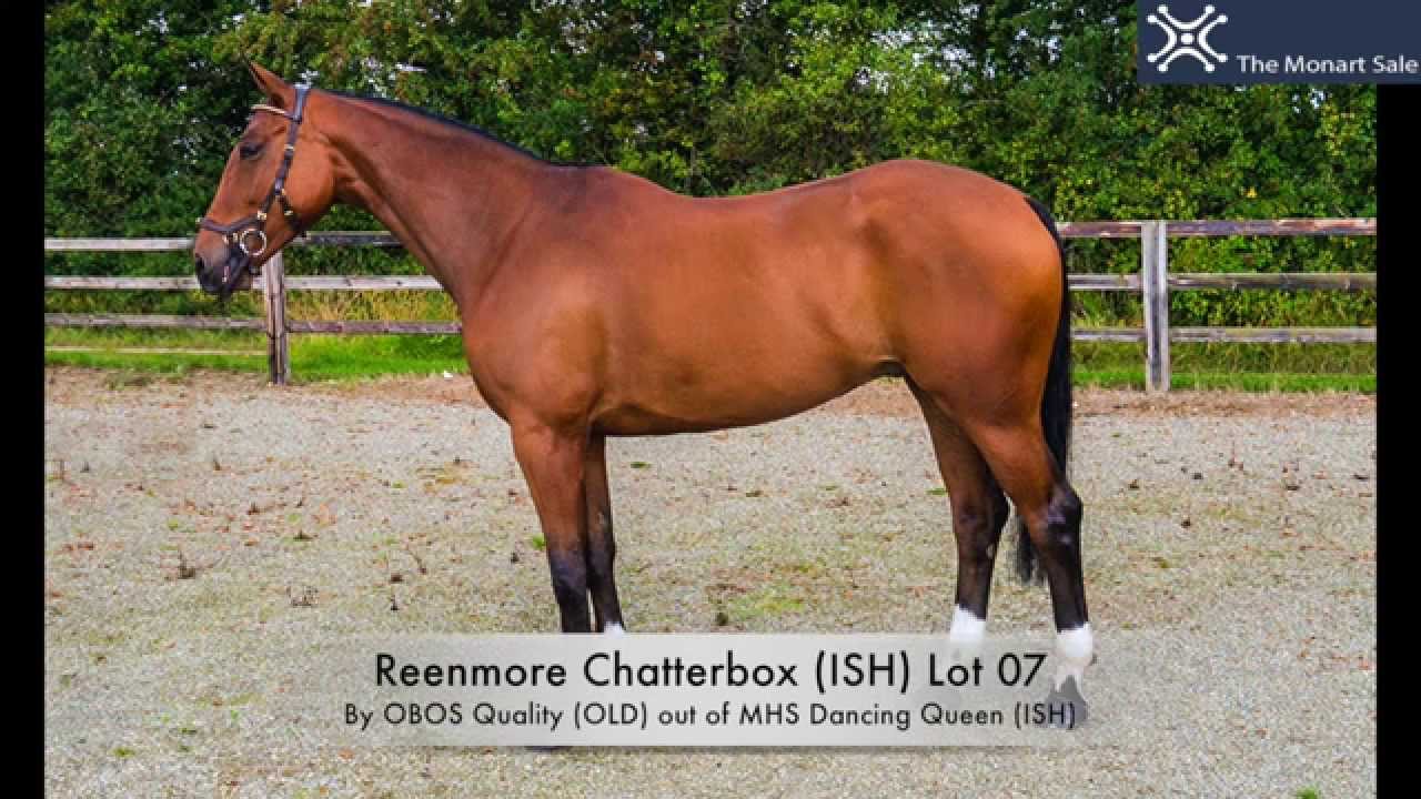 Lot 07 Reenmore Chatterbox