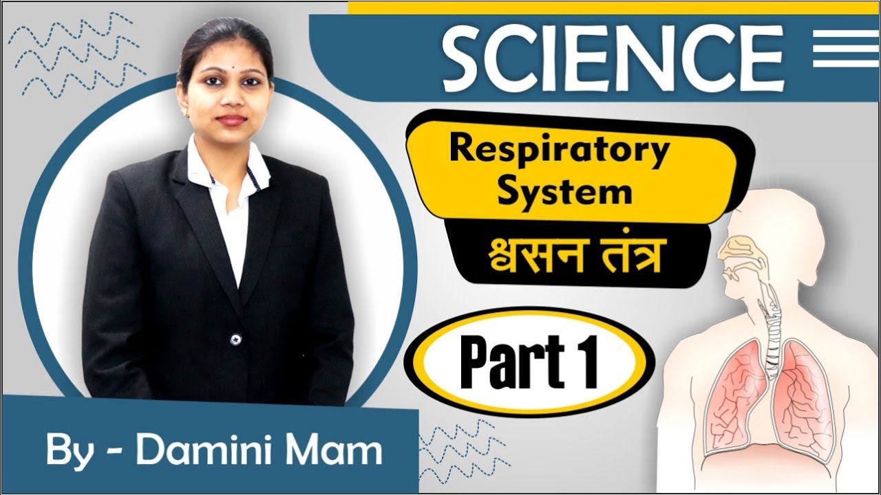 Respiratory System | श्वसन तंत्र | Respiration In Human | Part- 1 | Science(Biology) By Damini ma'am