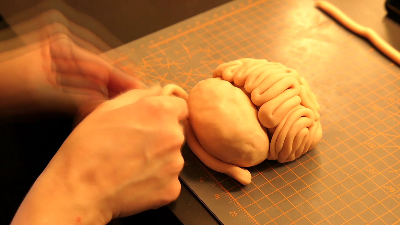 Clay Brain part 1
