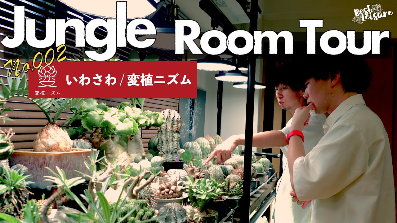 【JUNGLE ROOM TOUR】オベサと趣味を愛するオトコ「YouTuber 変植ニズムいわさわ」｜塊根植物｜ユーフォルビア｜ルームツアー｜