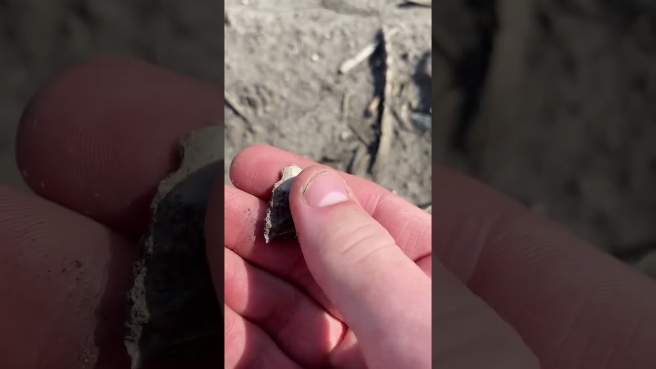 Broken Point Found in a Field 
