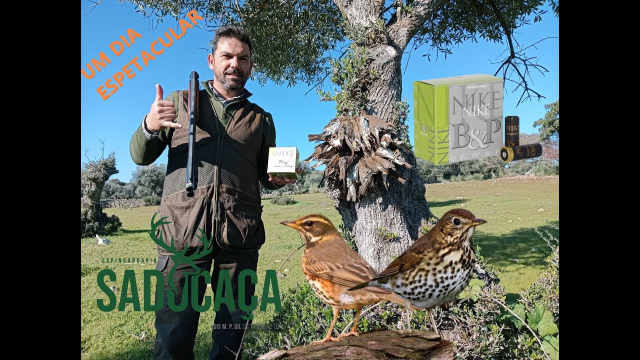 CAÇA AOS TORDOS 29 DE DEZEMBRO 2024