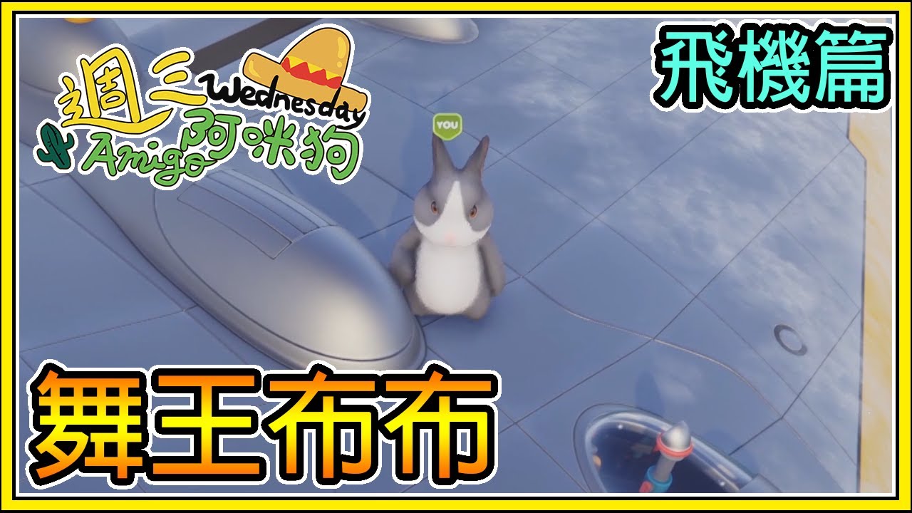 【繁星】週三阿咪狗 動物派對 - 🚁在飛機上跳舞當亞洲舞王 🐰 飛機篇 【精華】