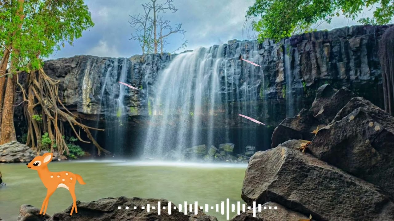 ស្ដាប់បទចម្រៀងកំដរអារម្មណ៍ ចង្វាក់ពិសេសសម្រាប់ឆ្នាំថ្មី