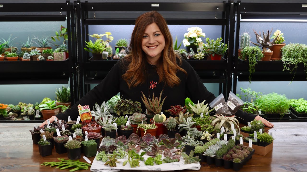 Распаковка суккулентов!!! 🌵📦💚 // Garden Answer