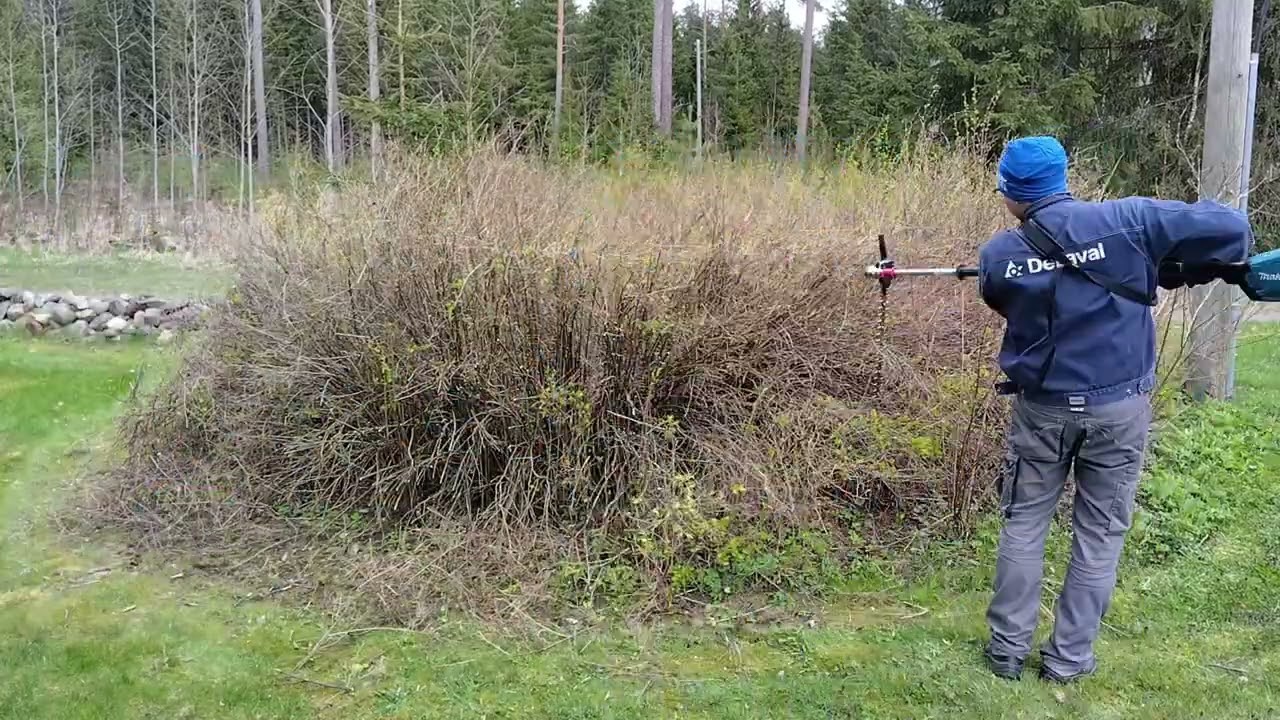 Puskan trimmaus Makita EN402MP pensasleikkuri lisälaitteella