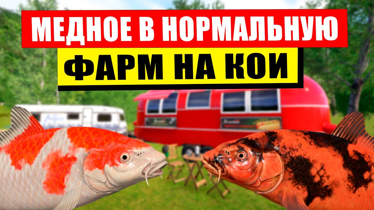 НАЧАЛСЯ ФАРМ НА КОИ НА МЕДНОМ ОЗЕРЕ В НОРМАЛЬНУЮ ТЕМПЕРАТУРУ! • Русская Рыбалка 4 РР4