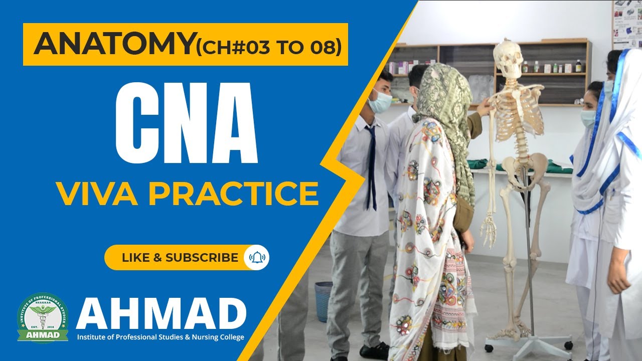 Anatomy Viva Practice of Certified Nursing Assistant(CNA) 1st Year Class