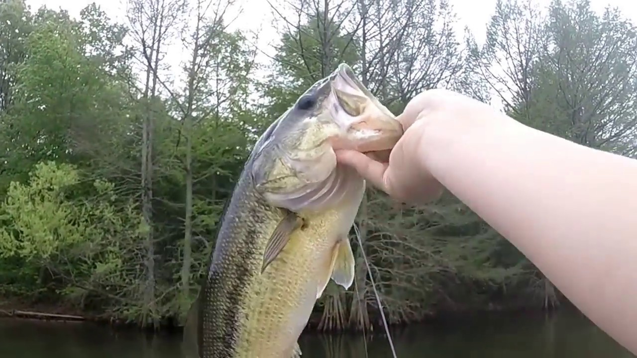 FISHING AT LAKE ATKINS