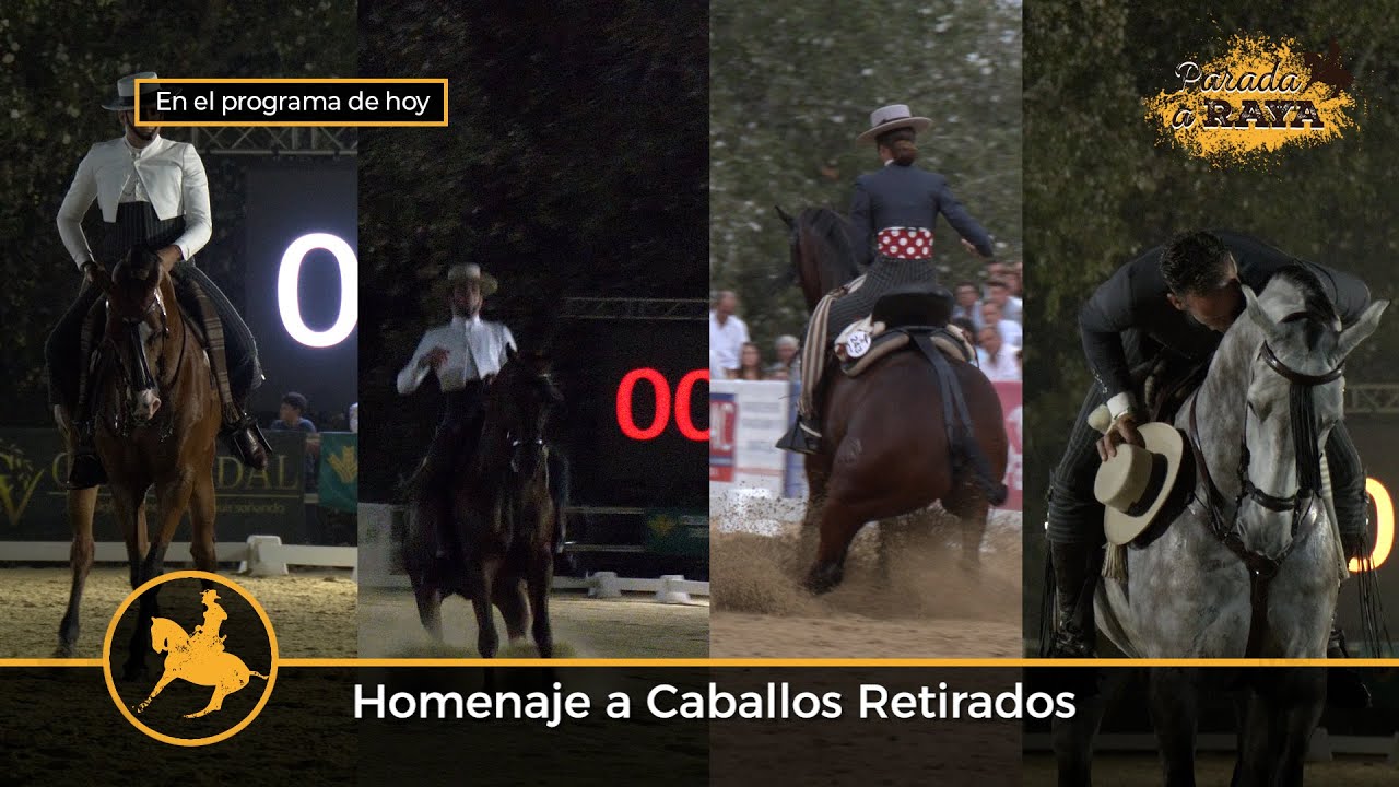 Parada a Raya 322