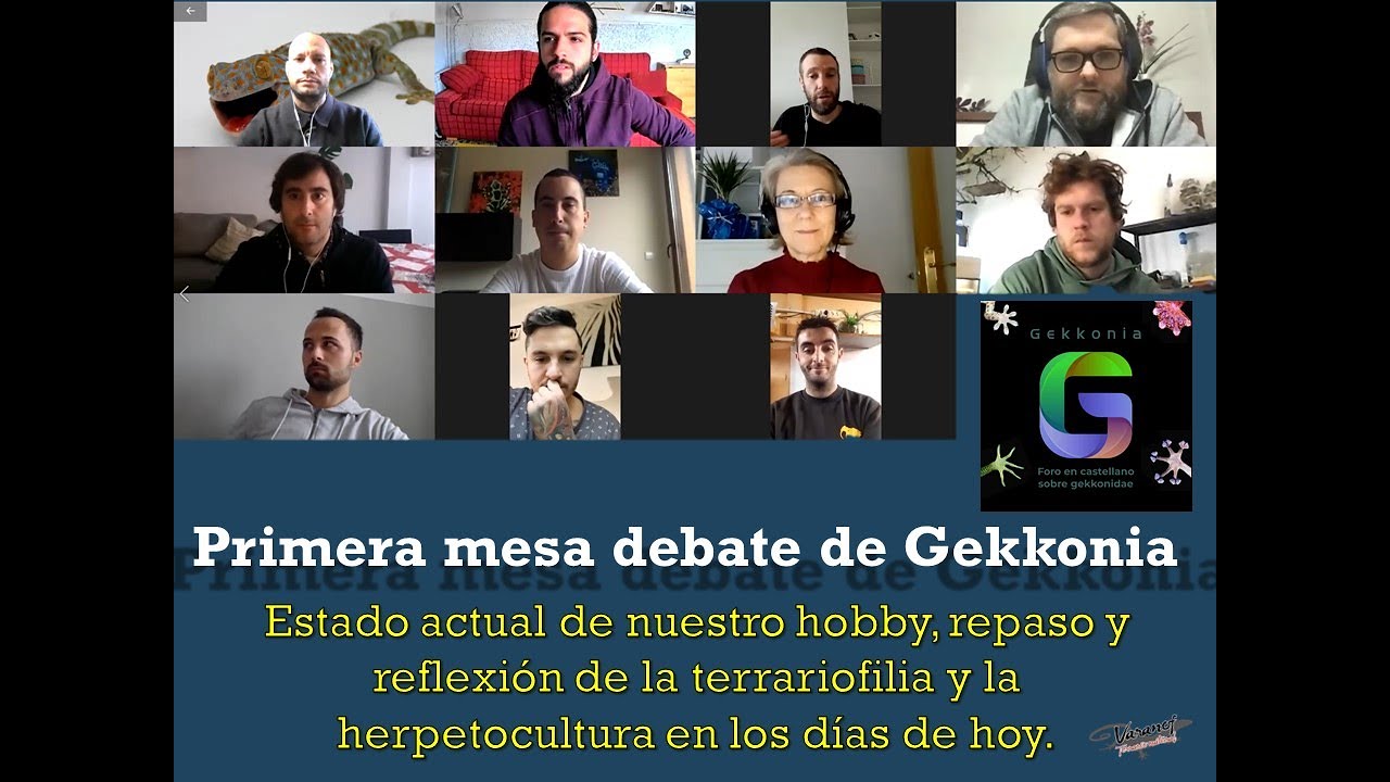 Primera mesa de debate de GEKKONIA - 27 de diciembre 2020