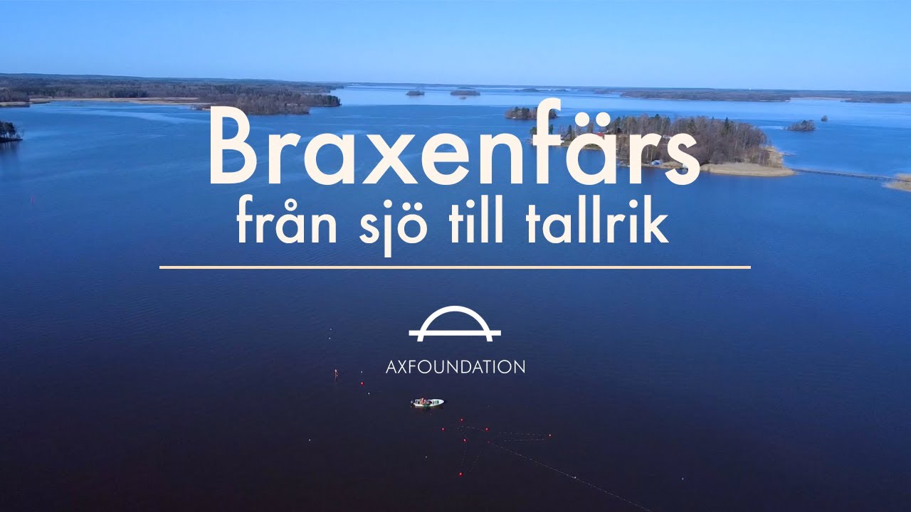 Braxenfärs - från sjö till tallrik