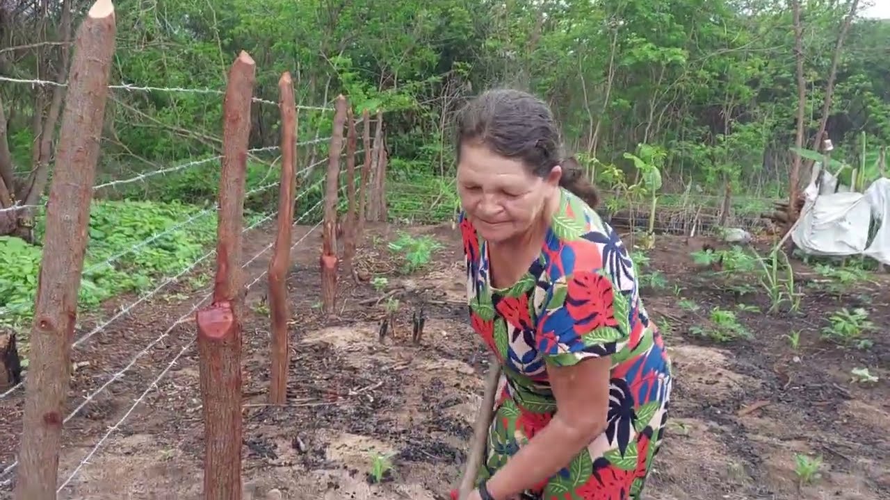 Parte 2, no terreno da mulher, plantando feijão e milho, no interior do Ceará, na Serra da Ibiapaba