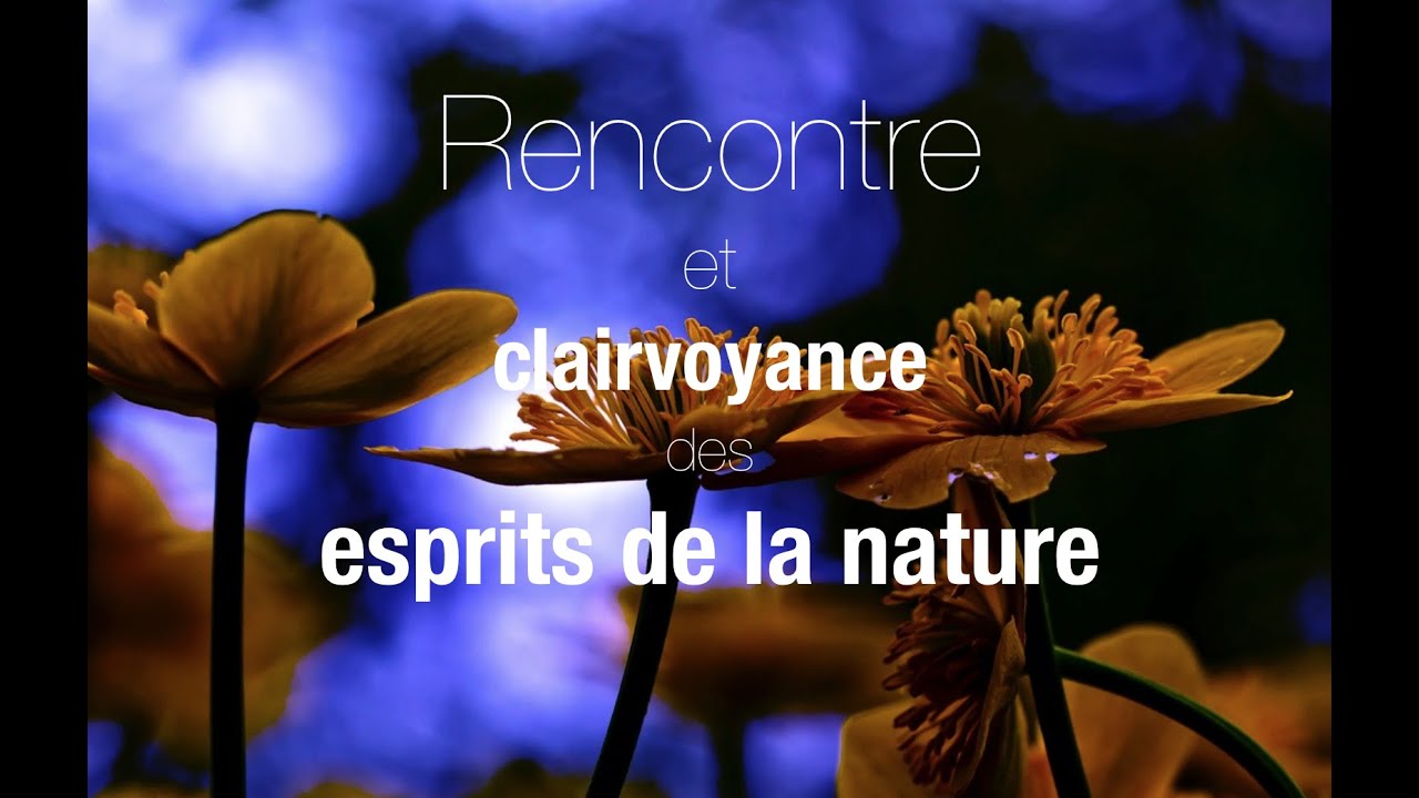 Holosynergie.  La clairvoyance des esprits de la nature