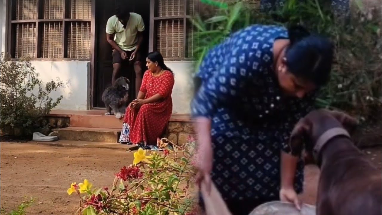 ഓഗി കുട്ടന്റെ കളികളുമായി ഇന്നത്തെ ഒരു ദിവസം/Day in my life