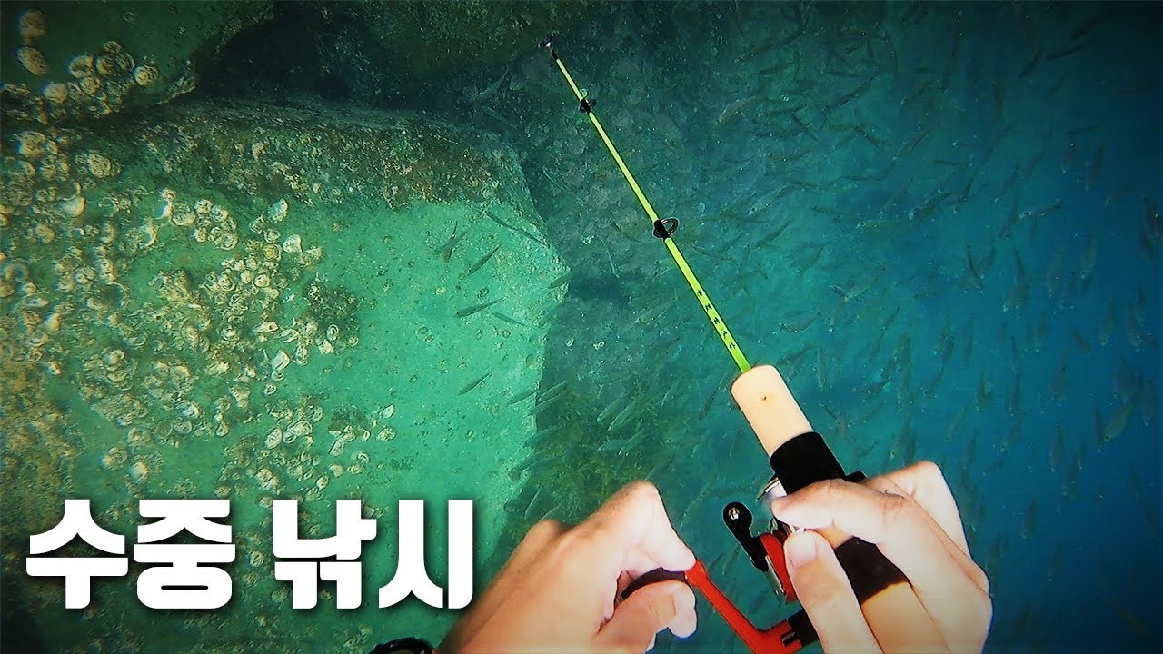 낚시하다가 답답해서 낚싯대 들고 바다에 들어 가봤습니다!!!  24시간 섬살이 - 두미도