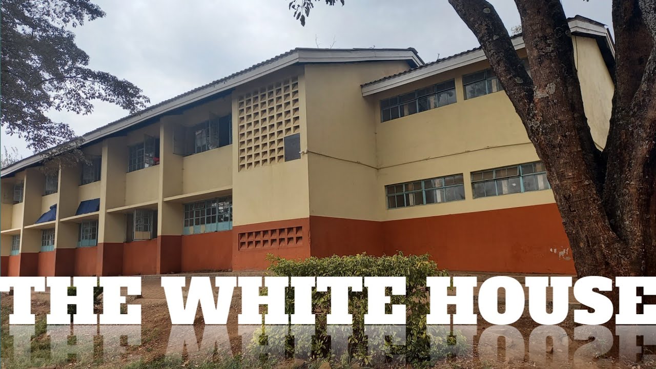 THE WHITE HOUSE//latest and smallest.