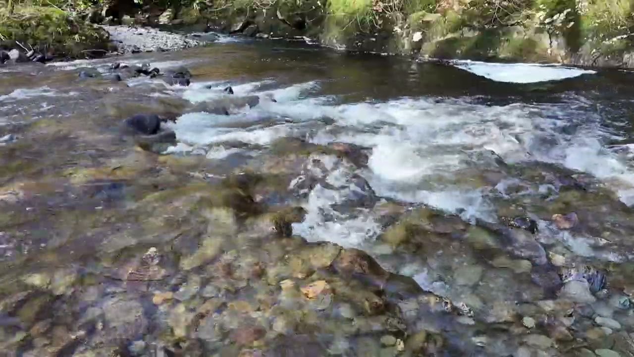 Nature Calm Sound & Rocky River