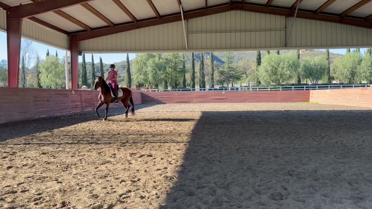 Day 2 Pippa Callanan alignment, Reins and bridging left hand control
