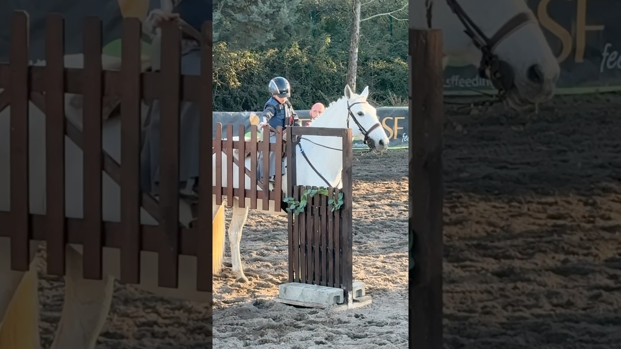 Working Equitation 🇵🇹lusitano Borboleta & Clarinha Filipe 2025 #equestrian #kidsandhorses #horse