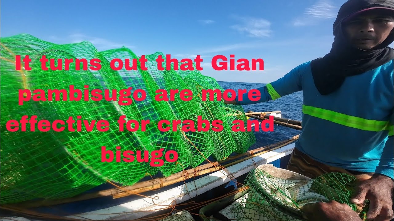 Ep,33,Bisugo fishing in the Philippines: Using our Giant Pam bisugo
