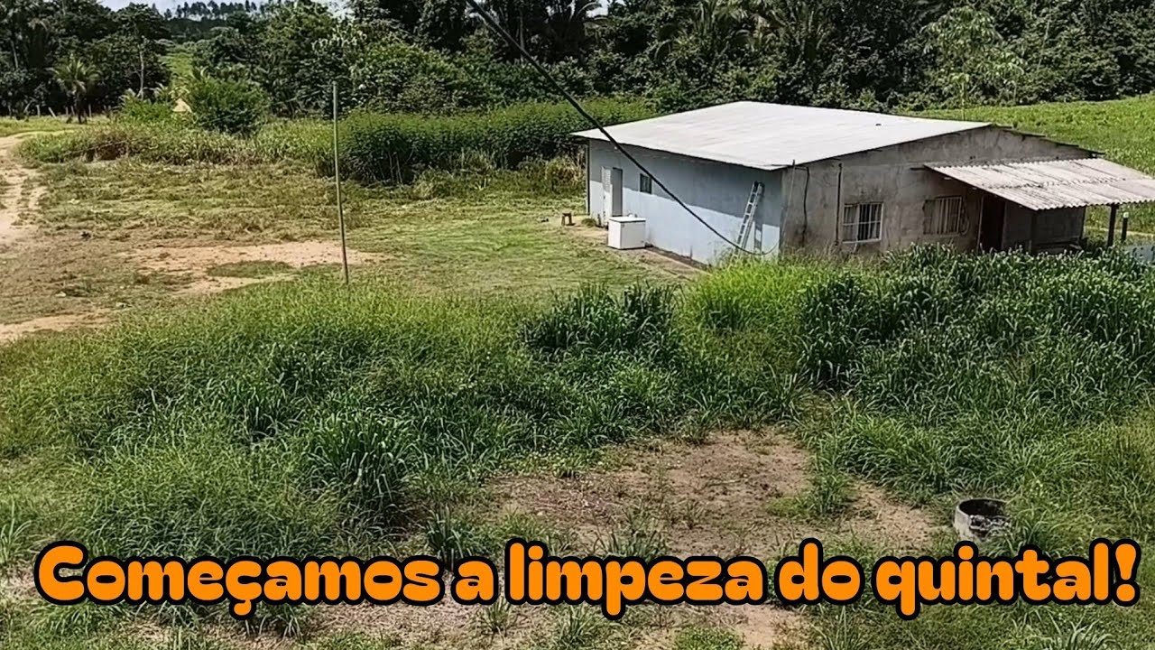 Começando a transformação do quintal