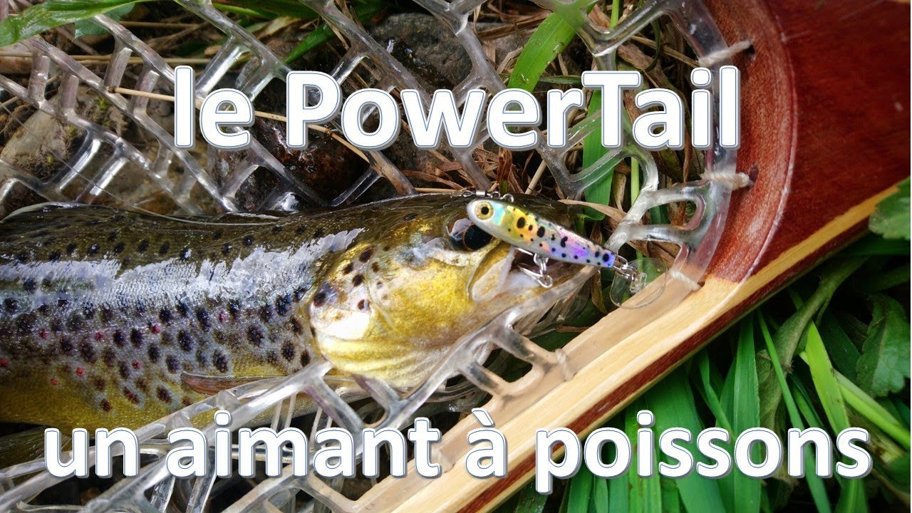 Fario du Léguer au Powertail de FIIISH