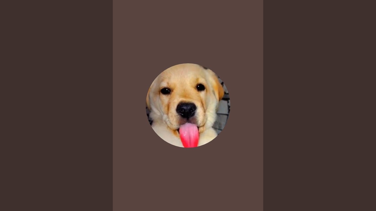 labra Rukku  is live!