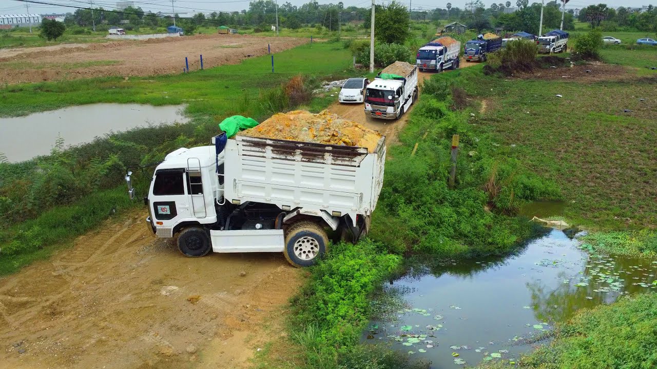 Opening New Project!! DumpTruck 5Ton Fill Land with Bulldozer D53P K0Matsu into rice field, Mix VDO