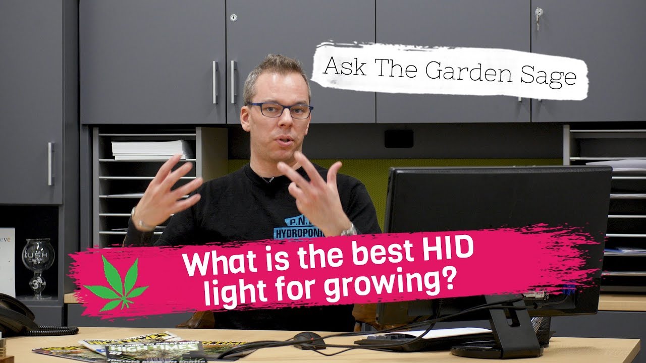 What is the best HID light for growing