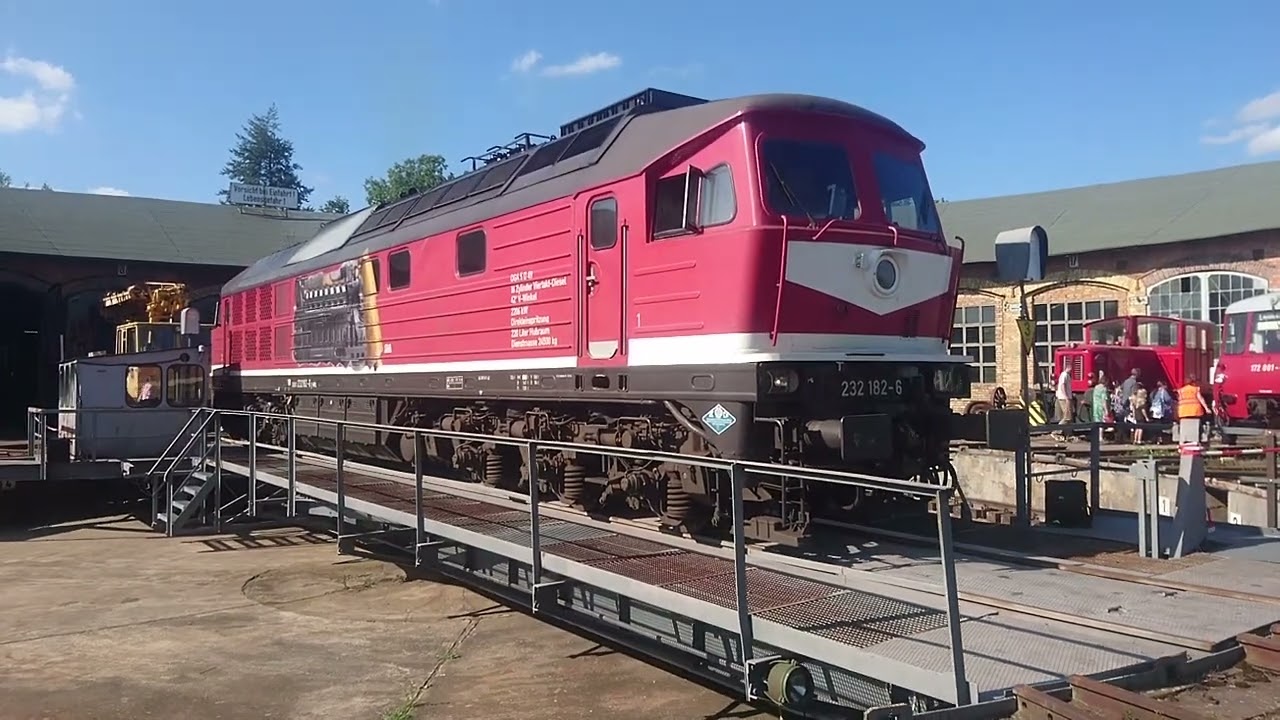 HAFENBAHN NEUSTRELITZ 16. September 2023 BR 232 182 LOKSCHUPPENFEST