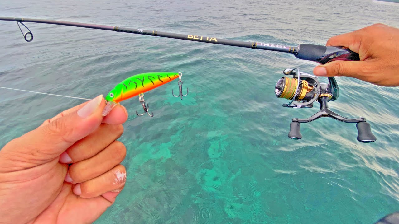 Tes Joran Terbaru iroly Betta Langsung Amis | Mancing Jigging dan Casting di Karang Dangkal