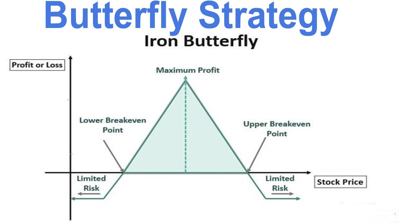 Butterfly Strategy Telugu Full Explain ||Trading Point Telugu