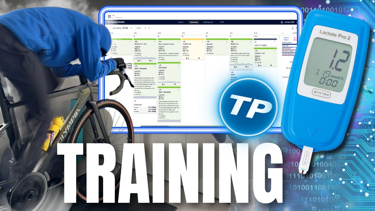 QUANTO È DURO UN TRAINING CAMP? Analisi completa 📊