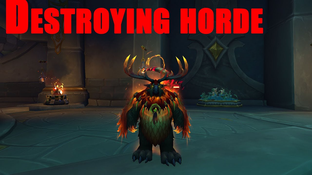 Destroying horde and angry bg chat - Balance druid pvp dragonflight 10.2.5