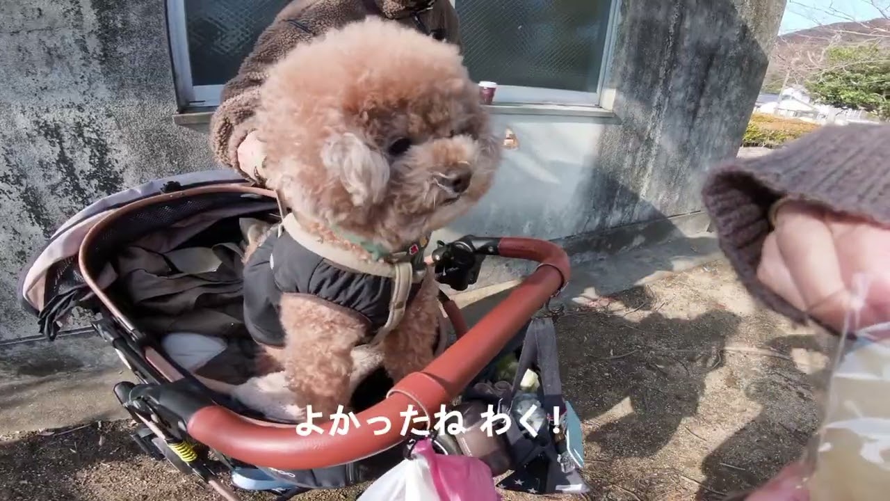 香川マルシェ行ってきた