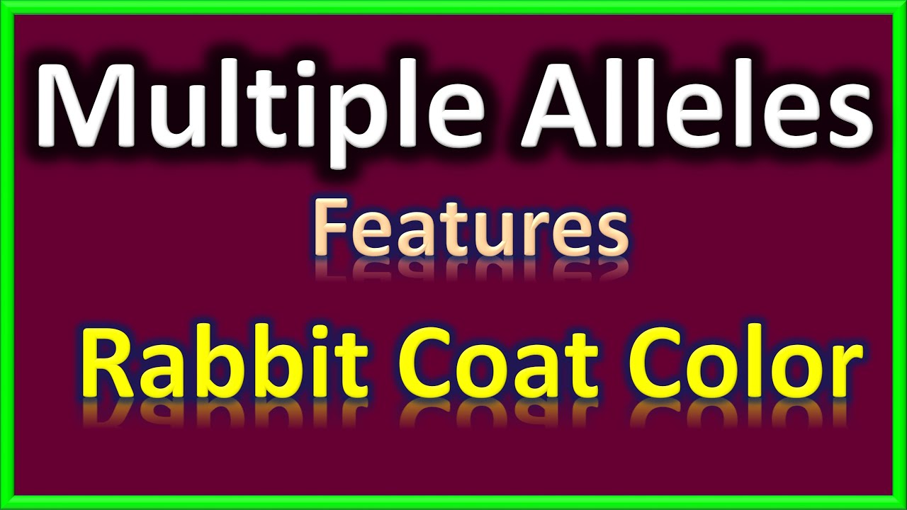 Multiple Alleles | Features | Rabbit Coat Color | Genotype Formula