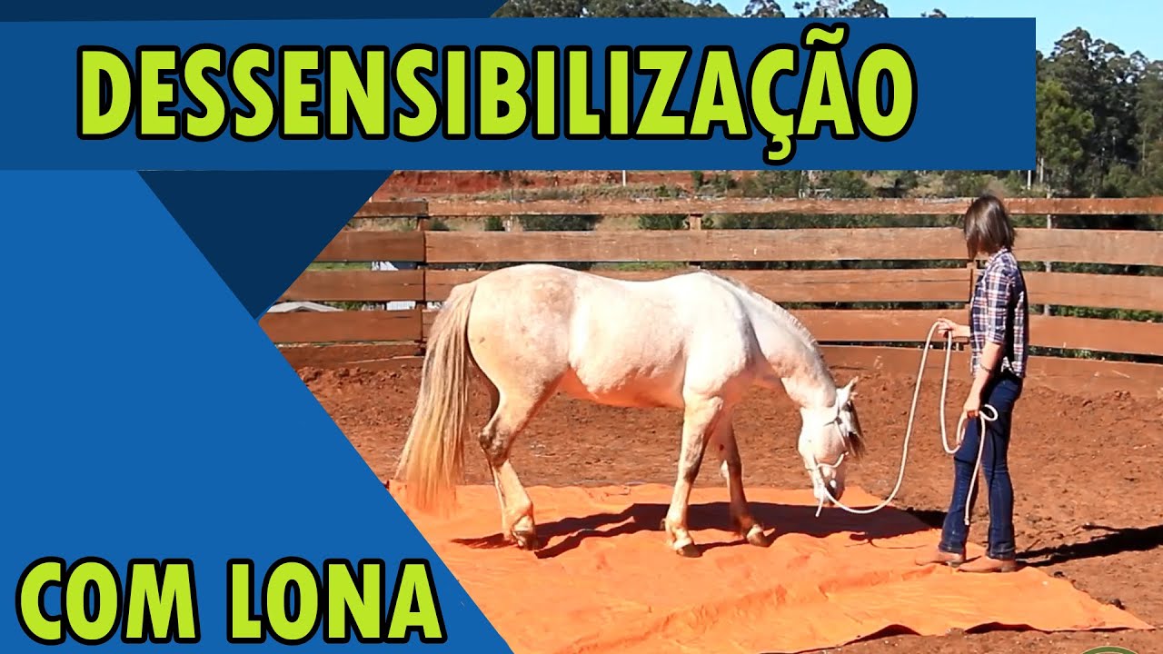 DOMA - Dessensibilização de Lona
