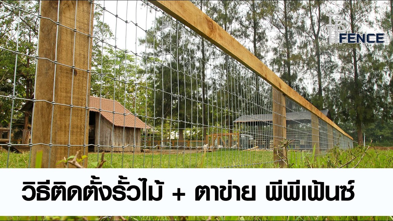 รั้วคาวบอย + รั้วตาข่าย รั้วล้อมสัตว์ รั้วม้า รั้วแพะแกะ ทำเองได้ง่ายๆ