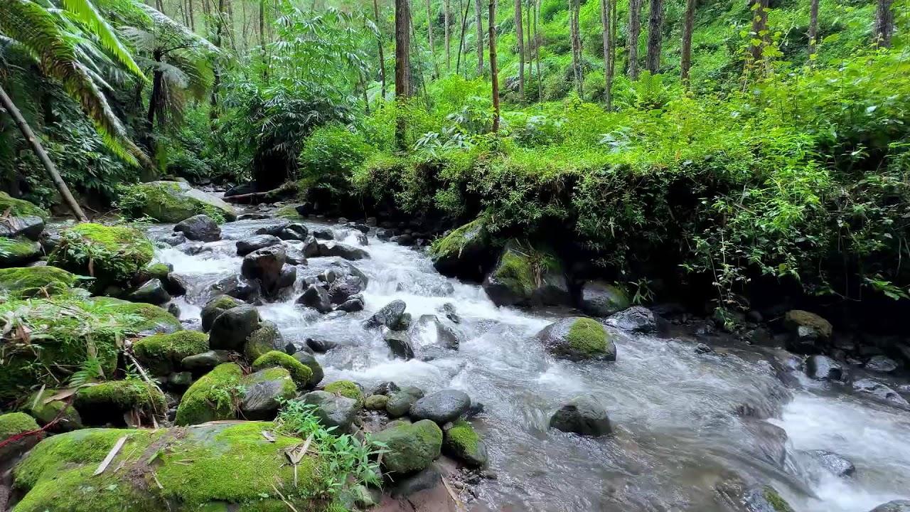 Natural river sound near quiet flowing riverbanks helping calm breathing into deeper deep sleep vibe