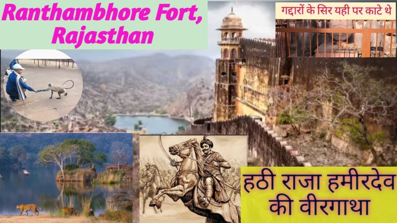 #ranthambore fort Rajasthan #historical place of #rajasthan #touristattraction #grouptour