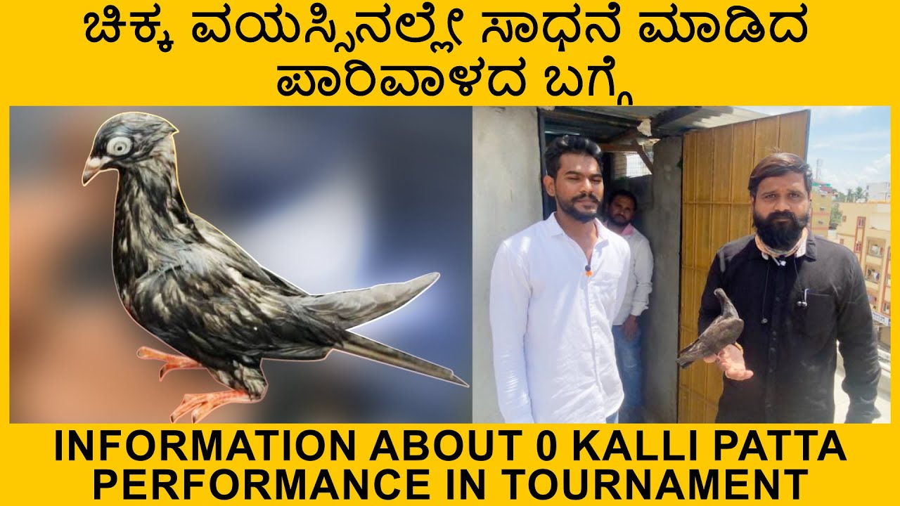 ಚಿಕ್ಕ ವಯಸ್ಸಿನಲ್ಲೇ ಸಾಧನೆ ಮಾಡಿದ ಪಾರಿವಾಳದ ಬಗ್ಗೆ | About 0 kalli patta performance in tournament