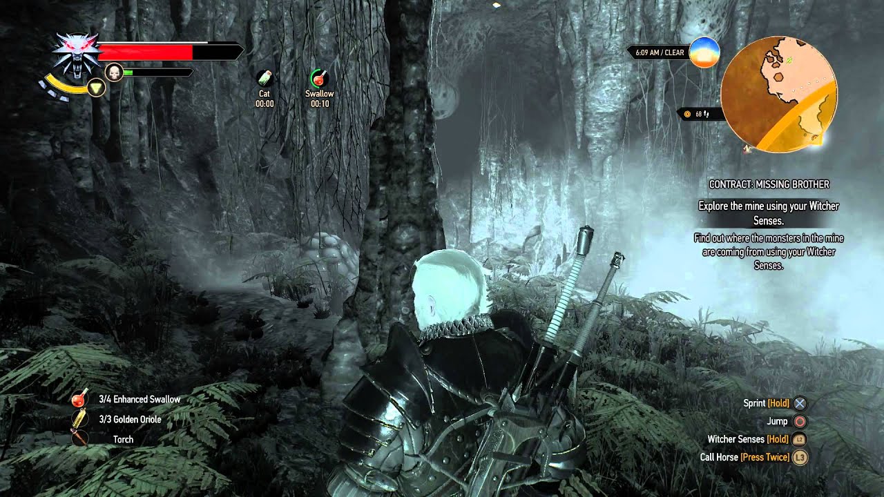 The Witcher 3 - Contract: Missing Brother: Find Out Where the Monsters From (Destroy Eggs) PS4